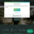 serenetree.com