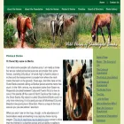 shacklefordhorses.org shacklefordhorses.org