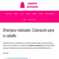 shampoomatizador.net