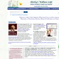 shirleys-wellness-cafe.com