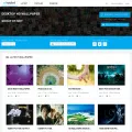 shoutot.com shoutot.com