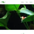 shrimpscience.com