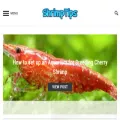 shrimptips.com shrimptips.com