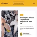 shroomer.com shroomer.com