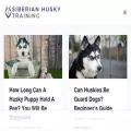 siberianhuskytraining.net siberianhuskytraining.net