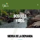 sierradelademanda.com