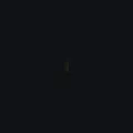 silentroarprod.com silentroarprod.com
