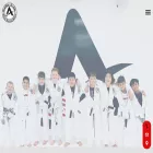 silvaacademy.com silvaacademy.com