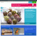 silversurfers.com silversurfers.com