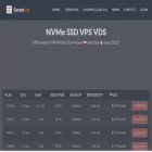 simplevm.net
