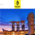 singaporebestchoice.com