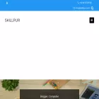skillpur.com skillpur.com