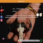 skullies.com skullies.com