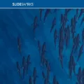 slidesharks.com