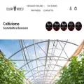 slowweed.ch slowweed.ch