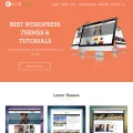 smallenvelop.com smallenvelop.com