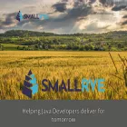 smallrye.io smallrye.io