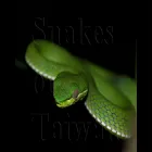 snakesoftaiwan.com snakesoftaiwan.com
