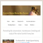 snhbs.scot snhbs.scot
