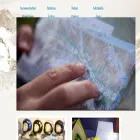 snowevolution.com