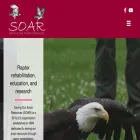 soarraptors.org