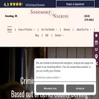 sodomskyandnigrini.com sodomskyandnigrini.com