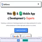 solguruz.com solguruz.com