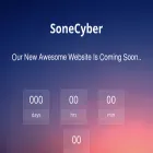 sonecyber.co.in