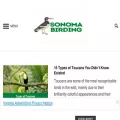 sonomabirding.com
