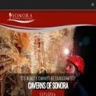 sonoratexas.org sonoratexas.org