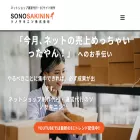 sonosakinin.com sonosakinin.com