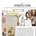 soravij.com soravij.com