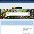 soshiok.com soshiok.com