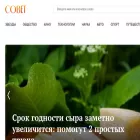 sovet.news