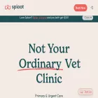splootvets.com splootvets.com