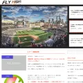 sportsflyhigh.com