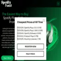 spotifypanel.com