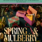 springandmulberry.com springandmulberry.com
