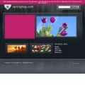 springtag.com