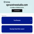 sprucetreestudio.com