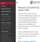 sqlwiki.netspi.com