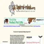 squirrel-rehab.org squirrel-rehab.org
