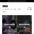 srgnacademy.com srgnacademy.com