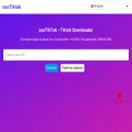 ssstiktokio.com ssstiktokio.com