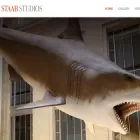 staabstudios.com staabstudios.com