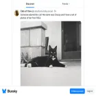 staging.bsky.app