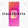 stalkerinsta.com