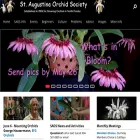 staugorchidsociety.org staugorchidsociety.org