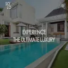 stayatsolo.com stayatsolo.com
