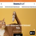 steamybrush.com